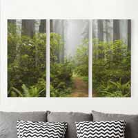 Wandbilder 3-teilig Wald