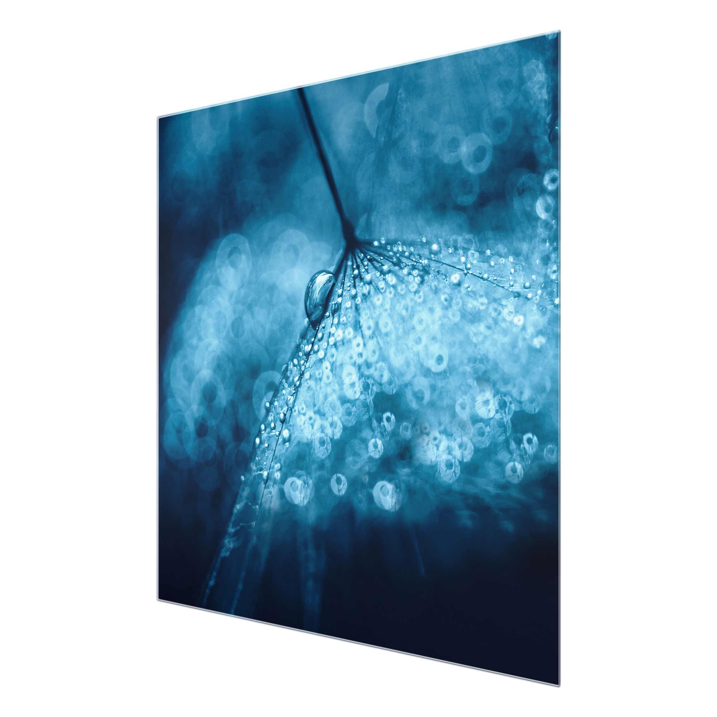 Blaue Pusteblume im Regen Glasbild als Quadrat kaufen
