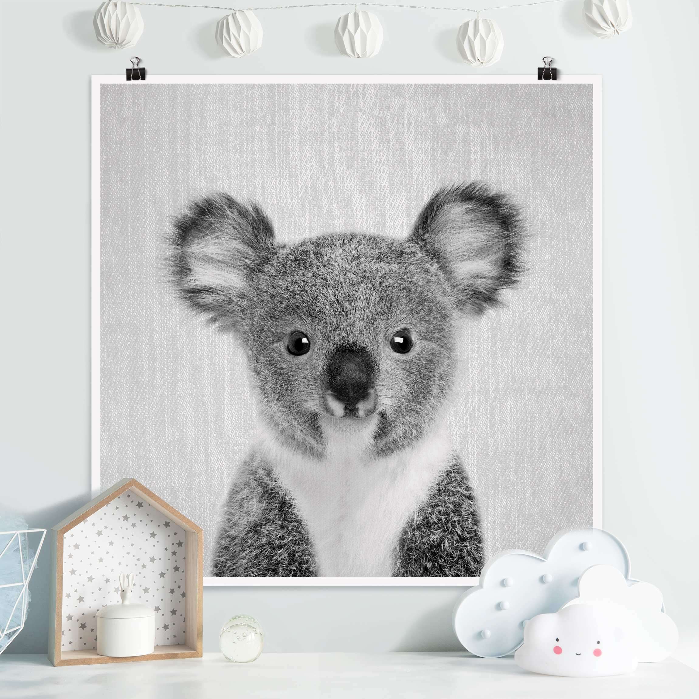 Poster 1:1 - - Quadrat Klara Baby Weiß Schwarz Koala