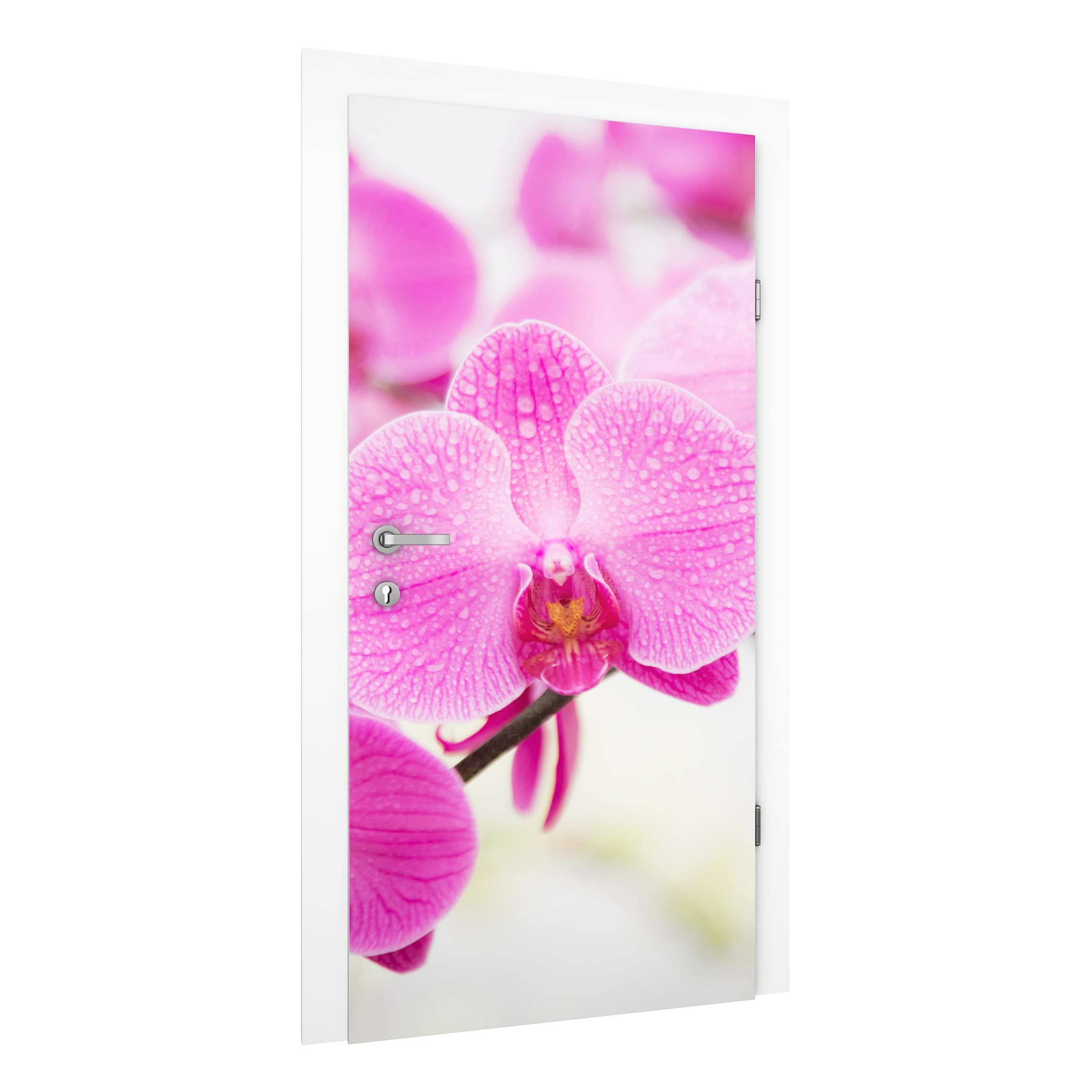 Nahaufnahme Orchidee Türtapete kaufen