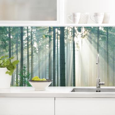 Küchenrückwand - Enlightened Forest