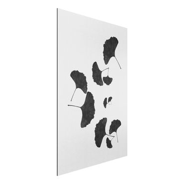 Alu-Dibond - Ginkgo Komposition in Schwarz-Weiß - Querformat