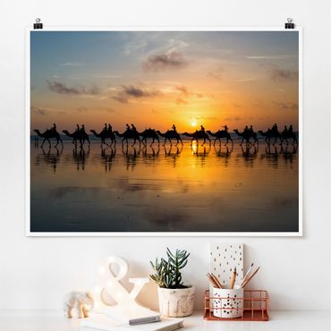 Poster - Kamele im Sonnenuntergang - Querformat 3:4