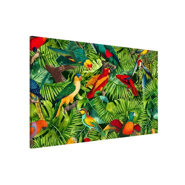 Magnettafel - Bunte Collage - Papageien im Dschungel - Memoboard Querformat 2:3