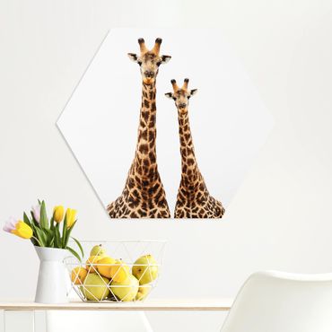 Hexagon Bild Forex - Portait Zweier Giraffen