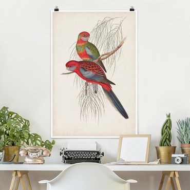 Poster - Tropische Papageien III - Hochformat 3:2