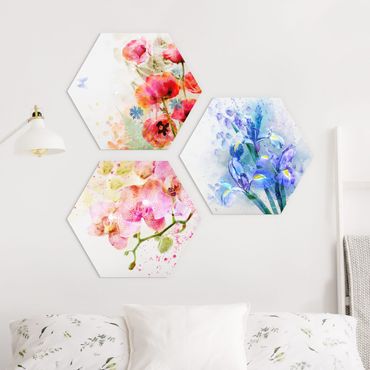 Hexagon Bild Forex 3-teilig - Aquarell Blumen Trio