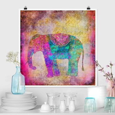Poster - Bunte Collage - Indischer Elefant - Quadrat 1:1