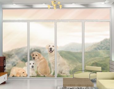 Fensterfolie - Fenstersticker No.454 Portait of Labradors and Golden Retriever - Fensterbilder