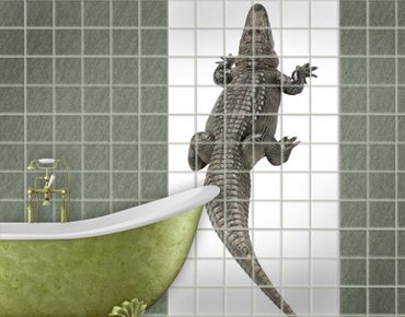 Fliesenbild - The Crocodile Back