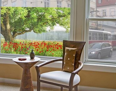 Fensterfolie - Sichtschutz Fenster Sommerwiese - Fensterbilder