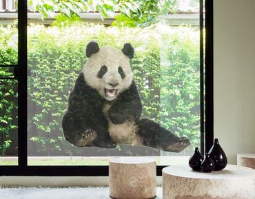Lachender Panda kaufen Fensteraufkleber