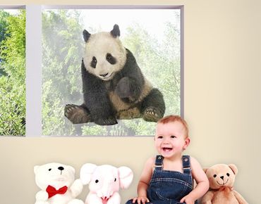 Fensterfolie - Sichtschutz Fenster Panda Tatzen - Fensterbilder