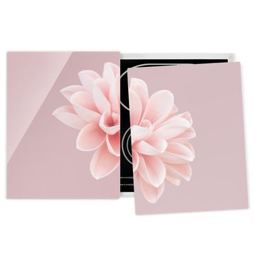 Herdabdeckplatte Glas - Dahlie Blume Lavendel Rosa Weiß - 52x80cm