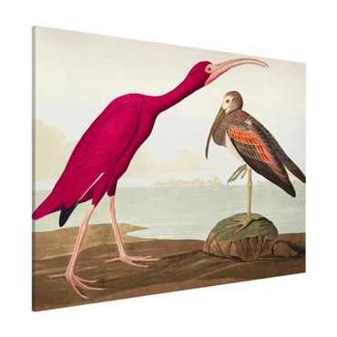 Magnettafel - Vintage Lehrtafel Roter Ibis - Memoboard Querformat 3:4