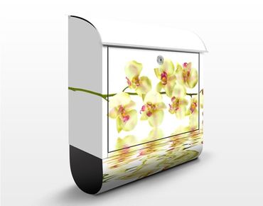 Briefkasten mit Zeitungsfach - Dreamy Orchid Waters - Briefkasten Blumen