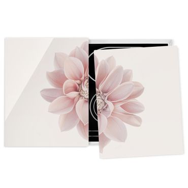 Herdabdeckplatte Glas - Dahlie Blume Pastell Weiß Rosa - 52x80cm