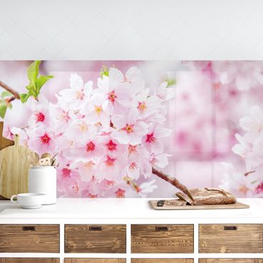 Küchenrückwand - Japanische Kirschblüten