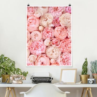 Poster - Rosen Rosé Koralle Shabby - Hochformat 4:3
