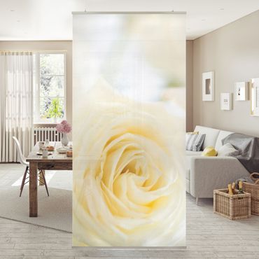 Raumteiler - White Rose 250x120cm