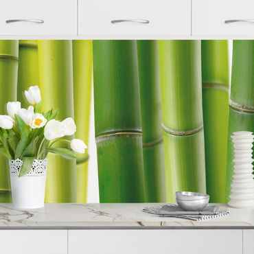 Küchenrückwand - Bambuspflanzen