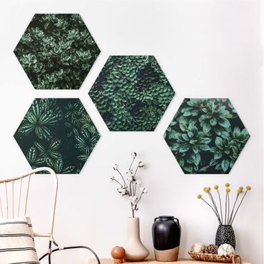 Hexagon Bild Forex 4-teilig - Grüne Blätter Set I