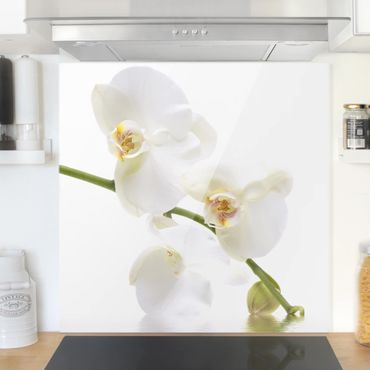 Glas Spritzschutz - White Orchid Waters - Quadrat - 1:1