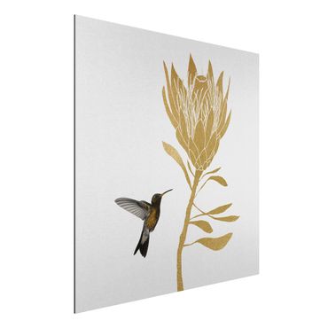 Alu-Dibond - Kolibri und tropische goldene Blüte - Quadrat