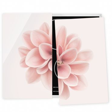 Herdabdeckplatte Glas - Dahlie Rosa Pastell Blume Zentriert - 52x60cm