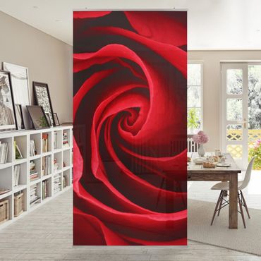 Raumteiler - Red Rose Blossom 250x120cm