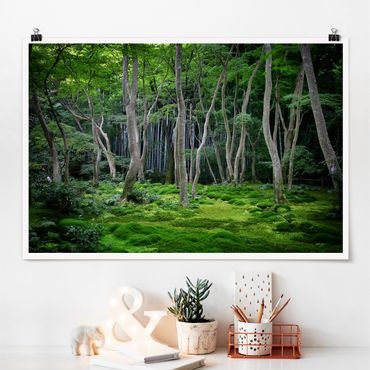 Poster - Japanischer Wald - Querformat 2:3