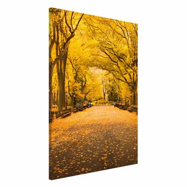 Magnettafel - Herbst im Central Park - Hochformat 2:3