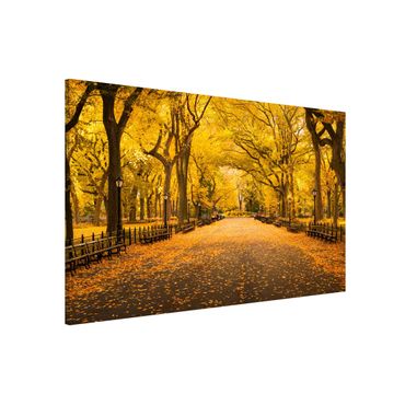 Magnettafel - Herbst im Central Park - Hochformat 3:2