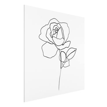 Forex Fine Art Print - Line Art Rose Schwarz Weiß - Quadrat 1:1