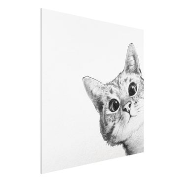 Forex Fine Art Print - Illustration Katze Zeichnung Schwarz Weiß - Quadrat 1:1