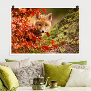 Poster - Fuchs im Herbst - Querformat 2:3