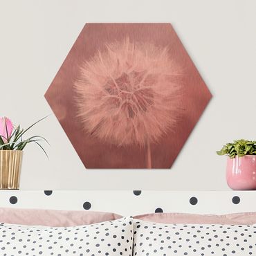 Hexagon Bild Alu-Dibond - Pusteblume Bokeh rosa
