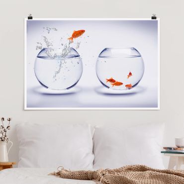 Poster - Flying Goldfish - Querformat 2:3