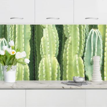 Küchenrückwand - Kaktus Wand