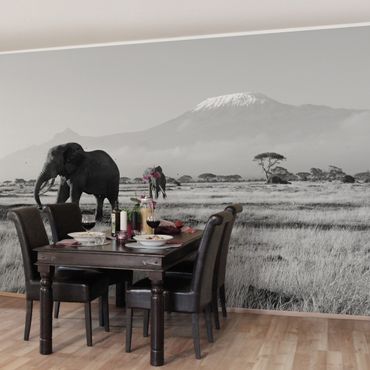 Fototapete Elefanten vor dem Kilimanjaro in Kenya II