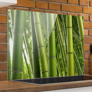 Glas Spritzschutz - Bamboo Trees - Querformat - 4:3
