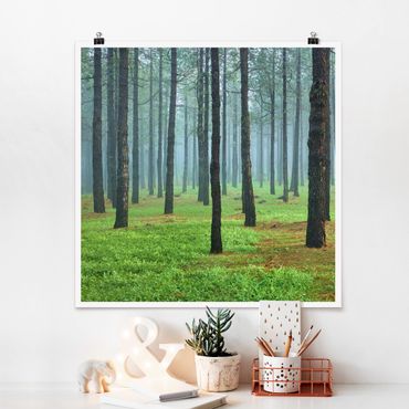 Poster - Tiefer Wald mit Kiefern auf La Palma - Quadrat 1:1