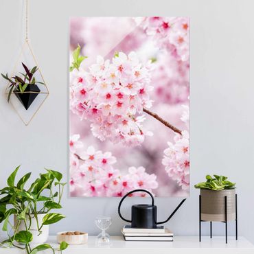 Glasbild - Japanische Kirschblüten - Hochformat 2:3