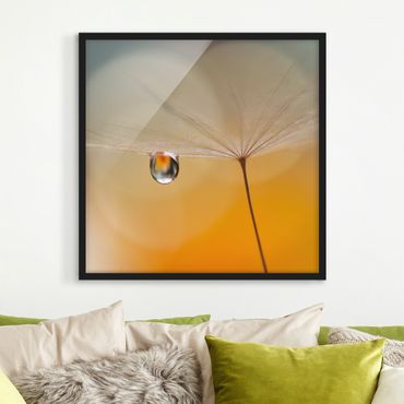 Bild mit Rahmen - Pusteblume in Orange - Quadrat 1:1