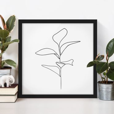 Bild mit Rahmen - Line Art Pflanze Blätter Schwarz Weiß - Quadrat 1:1