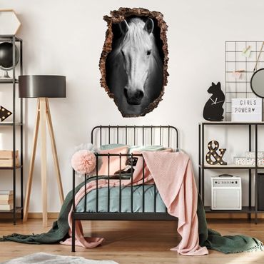 Wandtattoo - Dream of a Horse