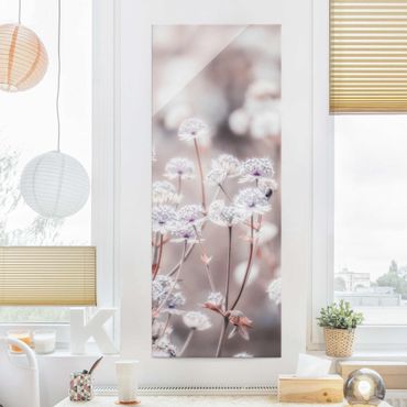 Glasbild - Federleichte Wildblumen - Hochformat