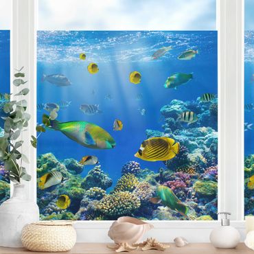 Fensterfolie - Sichtschutz Fenster Underwater Lights - Fensterbilder