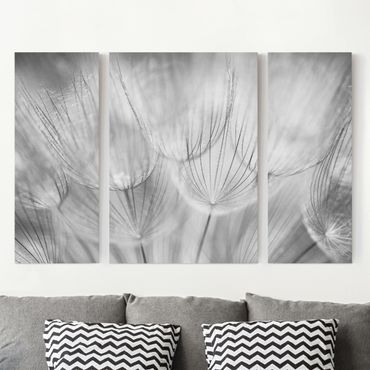 Leinwandbild 3-teilig - Pusteblumen Makroaufnahme in schwarz weiß - Triptychon