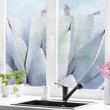 Fensterfolie - Sichtschutz - Agavenblätter - Fensterbilder